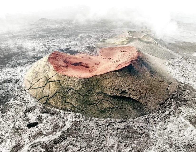 Estreno del Foro de la Unión de Fotógrafos de Vida Silvestre-Nature Photo Talks Estreno del Foro de la Unión de Fotógrafos de Vida Silvestre-Nature Photo Talks