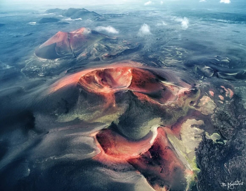 Estreno del Foro de la Unión de Fotógrafos de Vida Silvestre-Nature Photo Talks Estreno del Foro de la Unión de Fotógrafos de Vida Silvestre-Nature Photo Talks