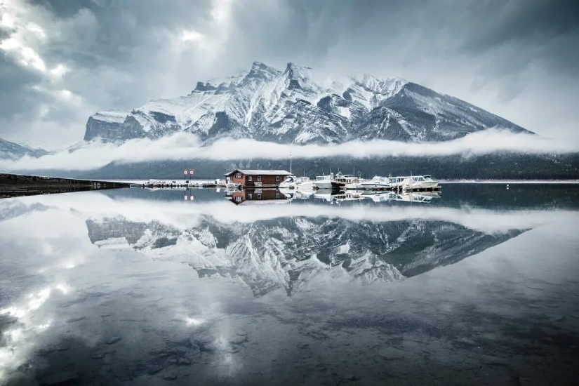 Estreno del Foro de la Unión de Fotógrafos de Vida Silvestre-Nature Photo Talks Estreno del Foro de la Unión de Fotógrafos de Vida Silvestre-Nature Photo Talks