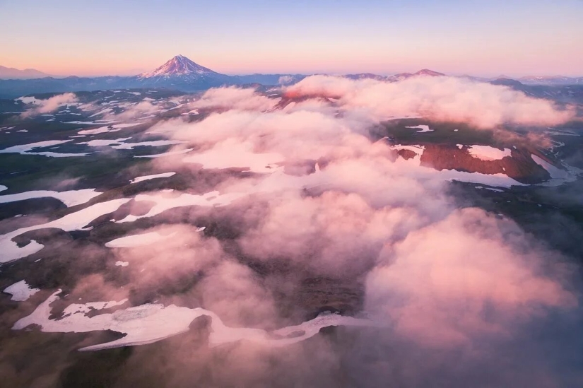 Estreno del Foro de la Unión de Fotógrafos de Vida Silvestre-Nature Photo Talks Estreno del Foro de la Unión de Fotógrafos de Vida Silvestre-Nature Photo Talks