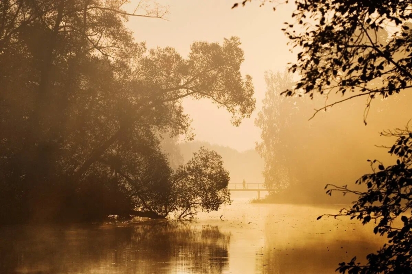 Estreno del Foro de la Unión de Fotógrafos de Vida Silvestre-Nature Photo Talks Estreno del Foro de la Unión de Fotógrafos de Vida Silvestre-Nature Photo Talks