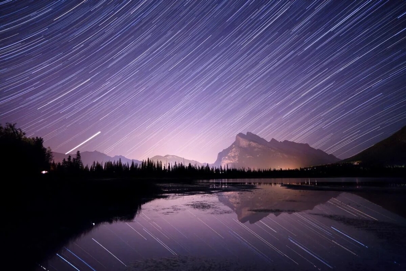 Estreno del Foro de la Unión de Fotógrafos de Vida Silvestre-Nature Photo Talks Estreno del Foro de la Unión de Fotógrafos de Vida Silvestre-Nature Photo Talks