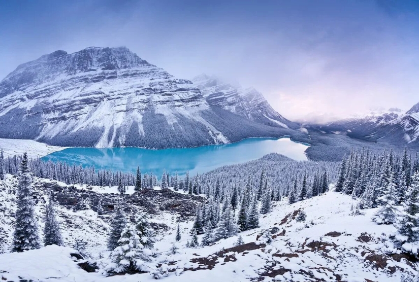 Estreno del Foro de la Unión de Fotógrafos de Vida Silvestre-Nature Photo Talks Estreno del Foro de la Unión de Fotógrafos de Vida Silvestre-Nature Photo Talks
