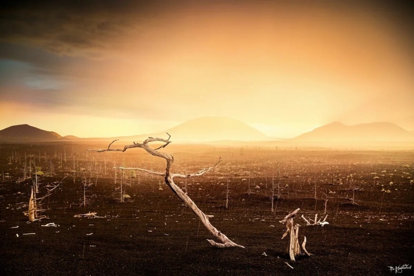 Estreno del Foro de la Unión de Fotógrafos de Vida Silvestre-Nature Photo Talks Estreno del Foro de la Unión de Fotógrafos de Vida Silvestre-Nature Photo Talks