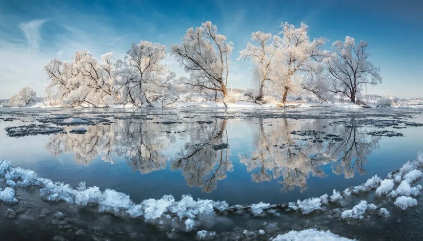 Estreno del Foro de la Unión de Fotógrafos de Vida Silvestre-Nature Photo Talks Estreno del Foro de la Unión de Fotógrafos de Vida Silvestre-Nature Photo Talks
