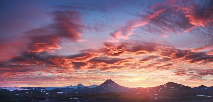 Estreno del Foro de la Unión de Fotógrafos de Vida Silvestre-Nature Photo Talks Estreno del Foro de la Unión de Fotógrafos de Vida Silvestre-Nature Photo Talks