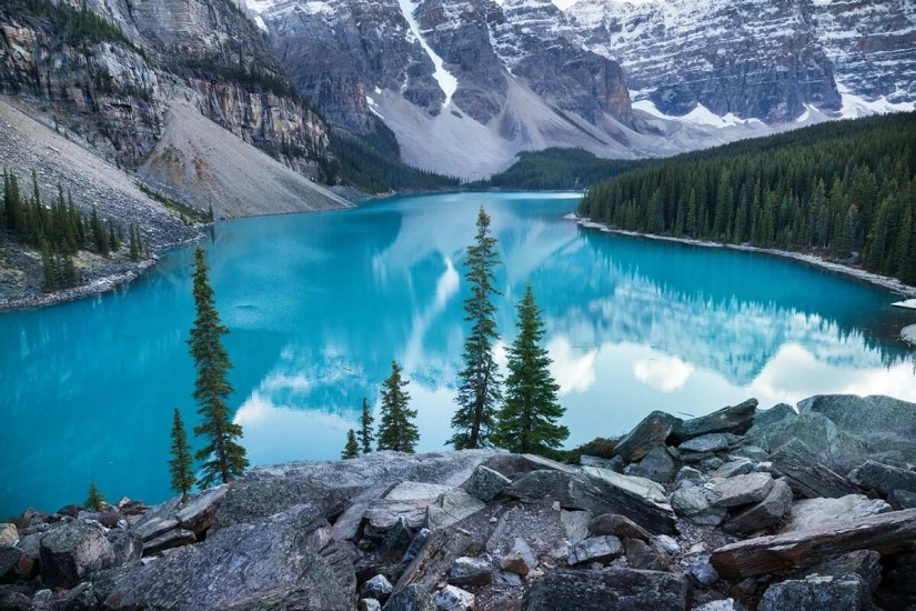 Estreno del Foro de la Unión de Fotógrafos de Vida Silvestre-Nature Photo Talks Estreno del Foro de la Unión de Fotógrafos de Vida Silvestre-Nature Photo Talks