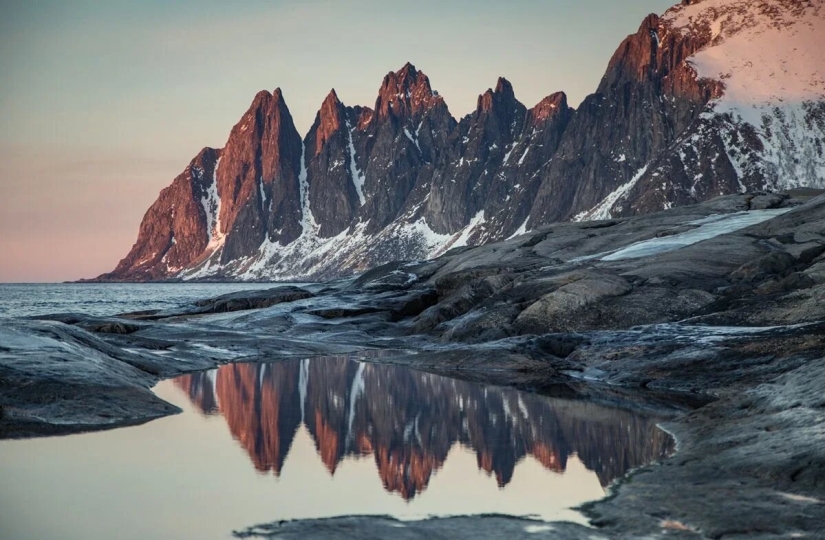 Estreno del Foro de la Unión de Fotógrafos de Vida Silvestre-Nature Photo Talks Estreno del Foro de la Unión de Fotógrafos de Vida Silvestre-Nature Photo Talks
