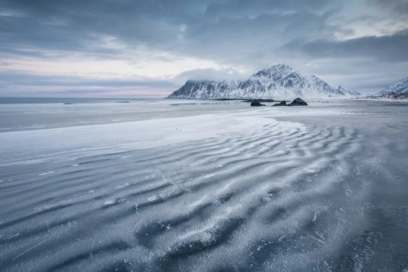 Estreno del Foro de la Unión de Fotógrafos de Vida Silvestre-Nature Photo Talks Estreno del Foro de la Unión de Fotógrafos de Vida Silvestre-Nature Photo Talks