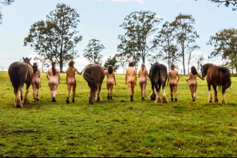 Estudiantes de veterinaria australianos se desnudan para luchar contra el suicidio