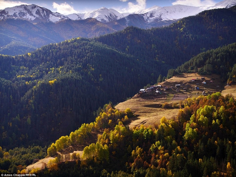Every year thousands of sheep in Georgia make a dangerous journey from the mountains with a height of 3000 meters Every year thousands of sheep in Georgia make a dangerous journey from the mountains with a height of 3000 meters