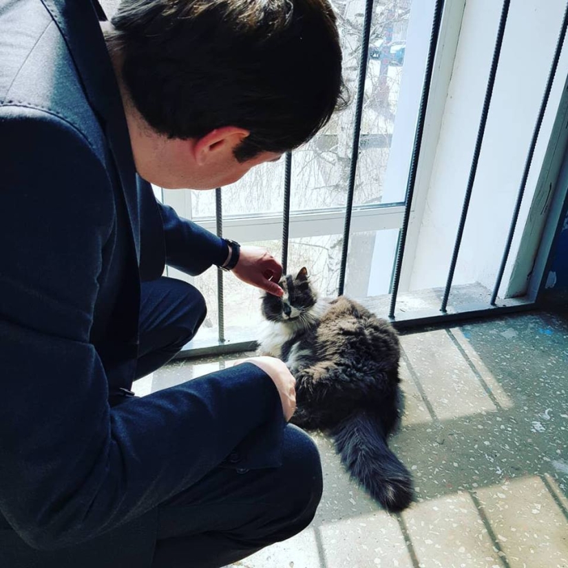 Everything for cats: The Ministry of Construction of the Russian Federation banned bricking up basements