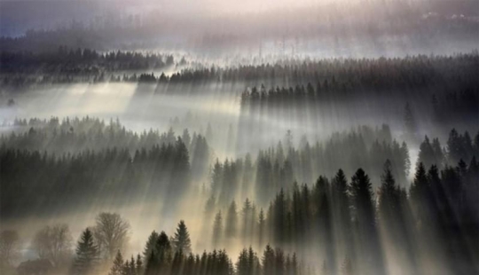 Everything is ghostly — fascinating photos for those who love autumn Everything is ghostly — fascinating photos for those who love autumn