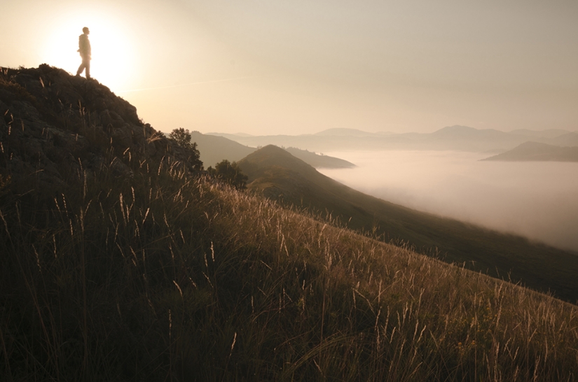 Exclusive photos from a closed exhibition dedicated to the impassable Tigirek Nature Reserve