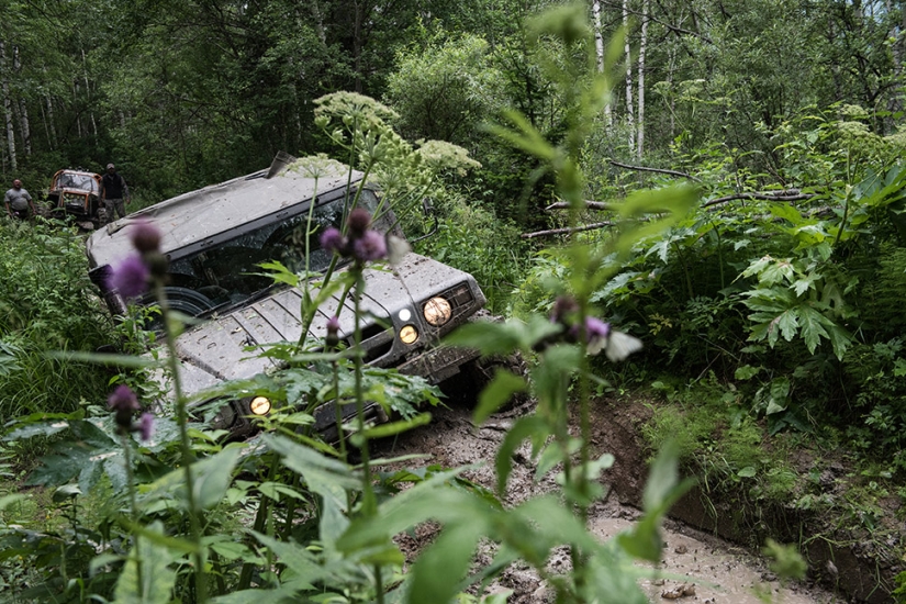 Exclusive photos from a closed exhibition dedicated to the impassable Tigirek Nature Reserve