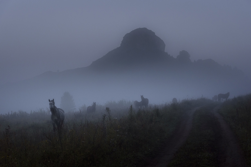 Exclusive photos from a closed exhibition dedicated to the impassable Tigirek Nature Reserve
