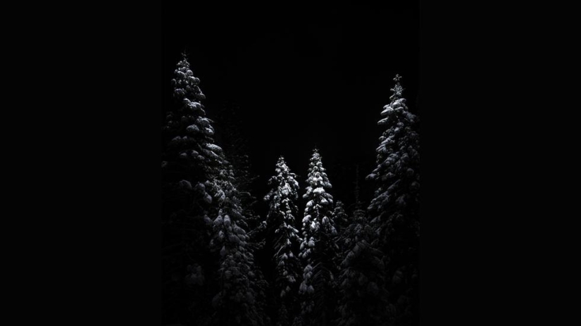 Exorcistas de la oscuridad. Paisajes donde la noche no es incolora Exorcistas de la oscuridad. Paisajes donde la noche no es incolora
