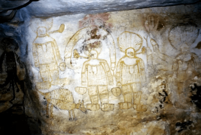 Extinct marsupial wolf to be revived in Australia