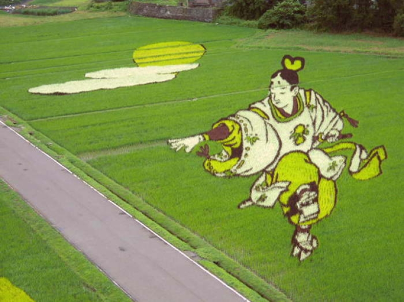 Extraordinary paintings on rice fields Extraordinary paintings on rice fields