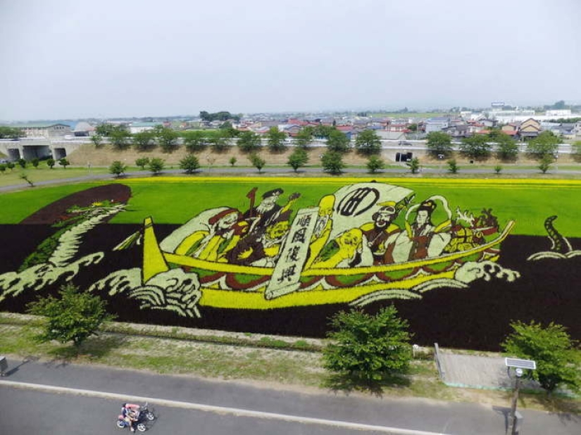 Extraordinary paintings on rice fields Extraordinary paintings on rice fields