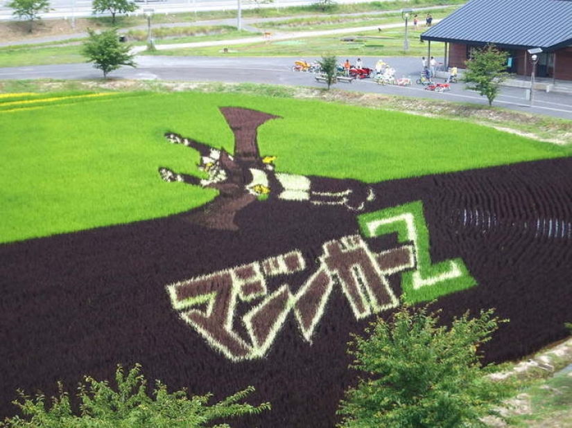 Extraordinary paintings on rice fields Extraordinary paintings on rice fields