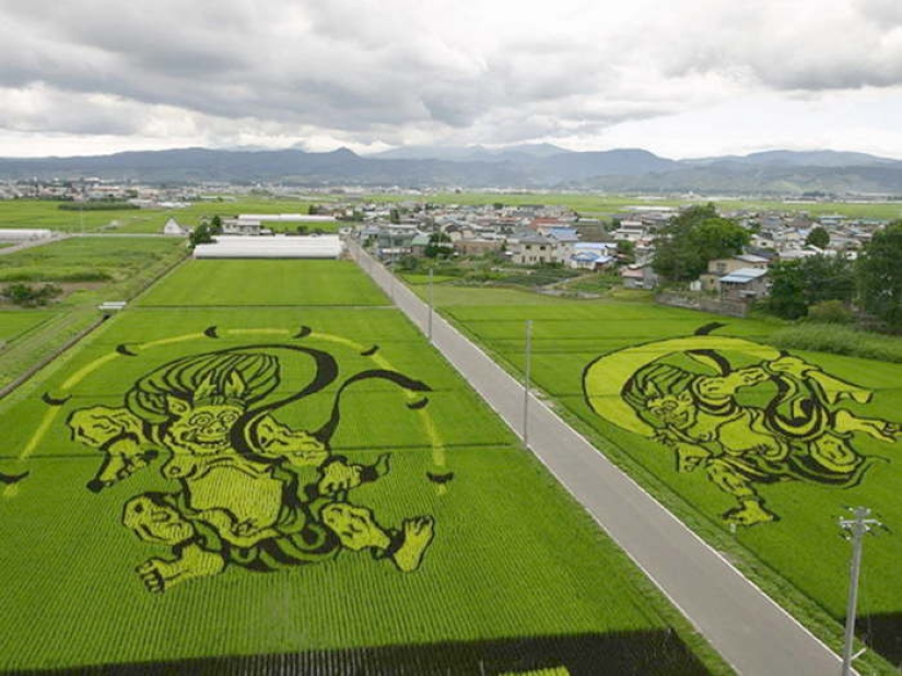 Extraordinary paintings on rice fields Extraordinary paintings on rice fields