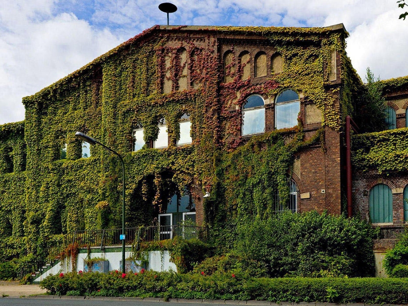 Fabuloso Devonshire
