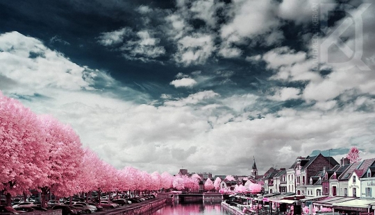 Fairy tale world in infrared light Fairy tale world in infrared light