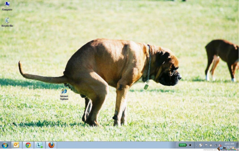 Fantastic ideas for desktop wallpapers so that colleagues turn their necks when passing by Fantastic ideas for desktop wallpapers so that colleagues turn their necks when passing by