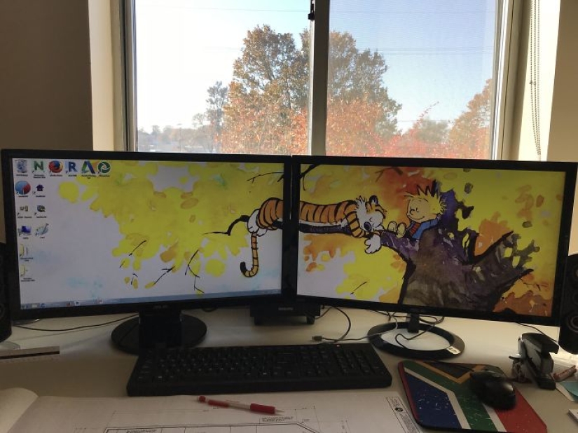 Fantastic ideas for desktop wallpapers so that colleagues turn their necks when passing by Fantastic ideas for desktop wallpapers so that colleagues turn their necks when passing by