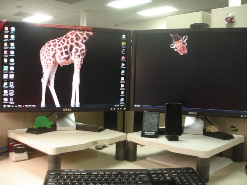 Fantastic ideas for desktop wallpapers so that colleagues turn their necks when passing by Fantastic ideas for desktop wallpapers so that colleagues turn their necks when passing by