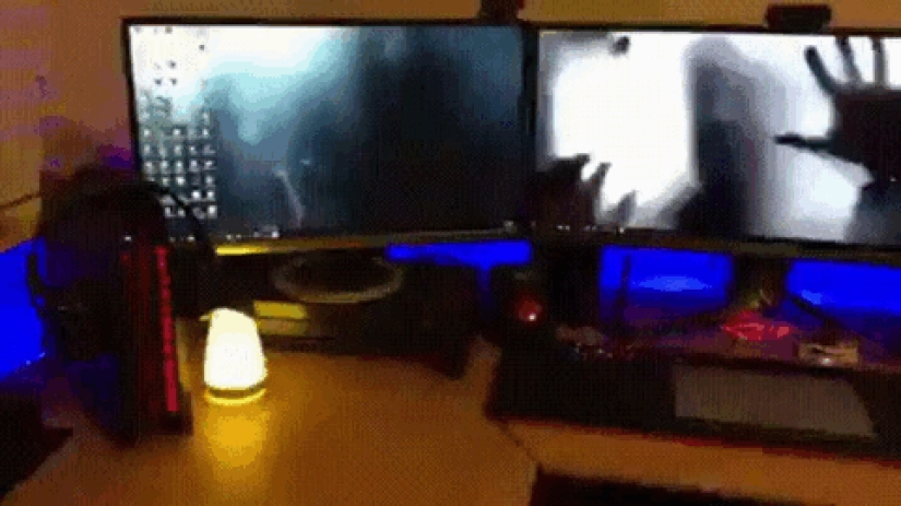 Fantastic ideas for desktop wallpapers so that colleagues turn their necks when passing by Fantastic ideas for desktop wallpapers so that colleagues turn their necks when passing by