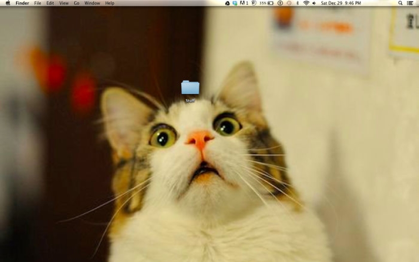 Fantastic ideas for desktop wallpapers so that colleagues turn their necks when passing by Fantastic ideas for desktop wallpapers so that colleagues turn their necks when passing by