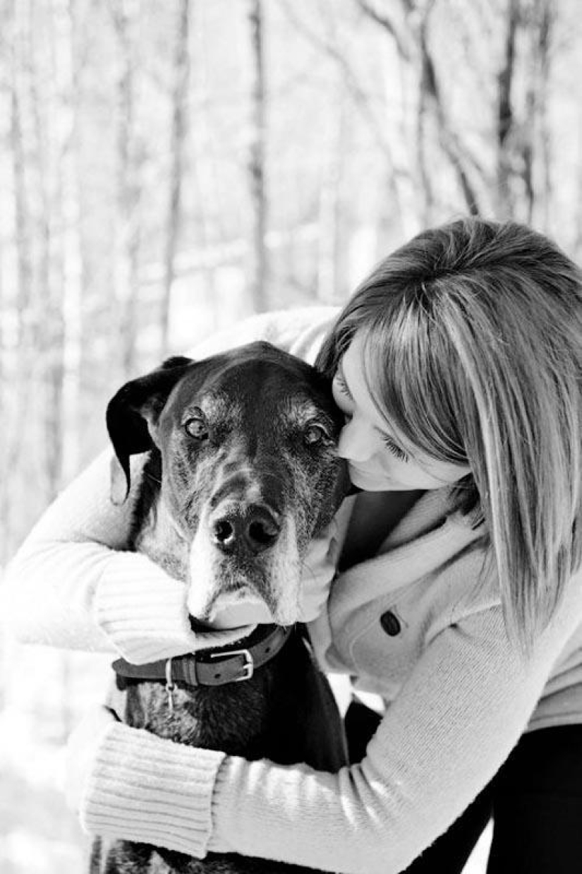 Farewell forever: the photographer captures the last moment of love between the owner and the dog before euthanasia Farewell forever: the photographer captures the last moment of love between the owner and the dog before euthanasia