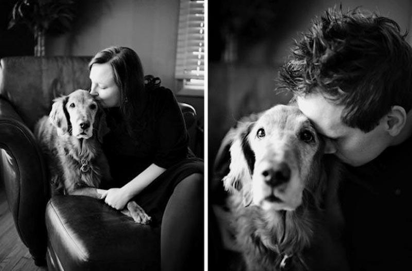Farewell forever: the photographer captures the last moment of love between the owner and the dog before euthanasia Farewell forever: the photographer captures the last moment of love between the owner and the dog before euthanasia