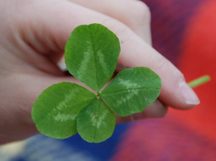 Fascinante historia de 7 supersticiones comunes Fascinante historia de 7 supersticiones comunes