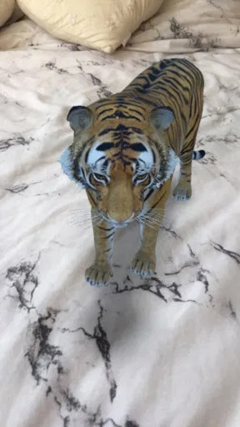Favorite animals in 3D: Google gives you the opportunity to see the projection of animals in the house