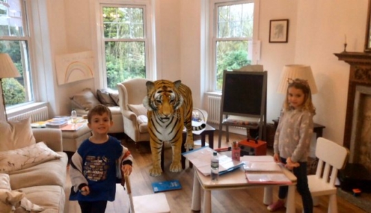 Favorite animals in 3D: Google gives you the opportunity to see the projection of animals in the house Favorite animals in 3D: Google gives you the opportunity to see the projection of animals in the house