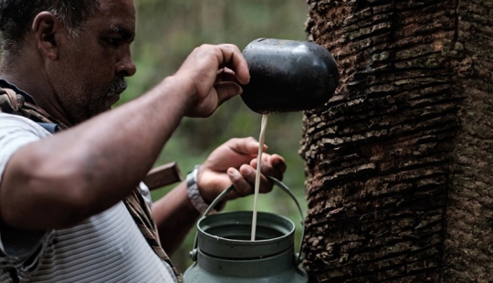 Fábrica de Amor de Amazon