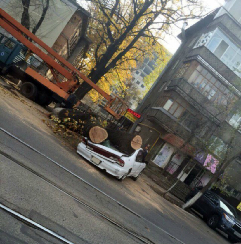 Fear and laughter in the Russian housing and communal services Fear and laughter in the Russian housing and communal services