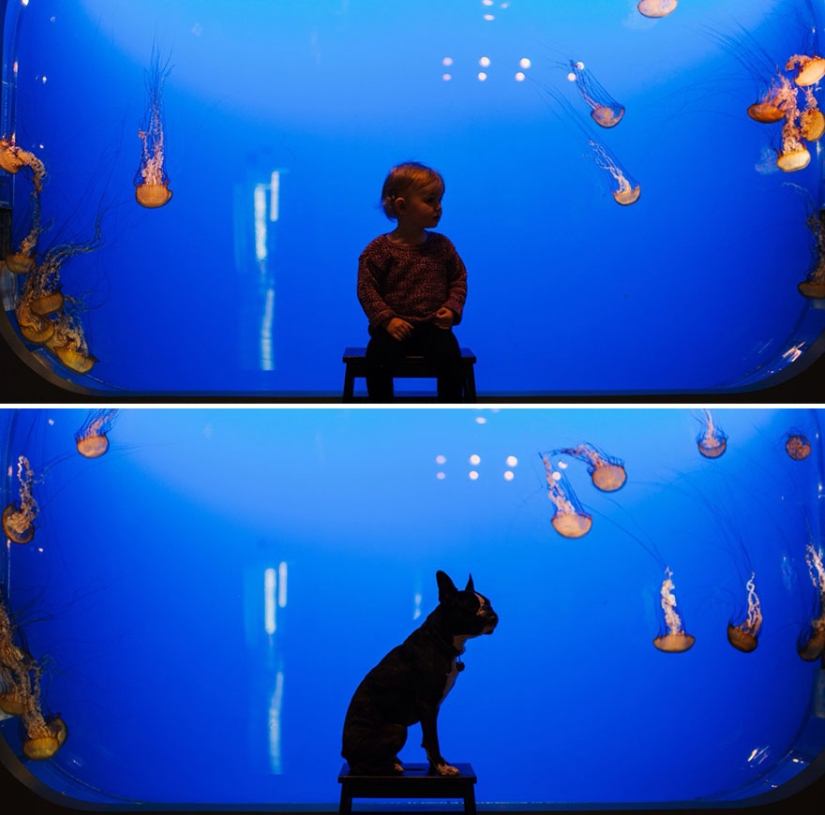 Felices juntos: una historia fotográfica sobre el crecimiento de una niña y un cachorro