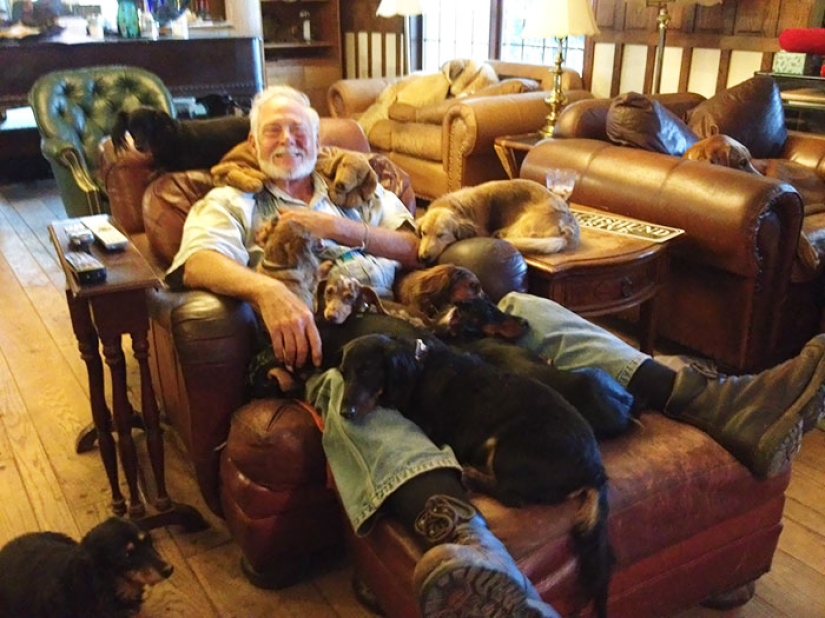 Felicidad de cuatro patas: cómo es la vida cuando hay más de dos perros en la casa