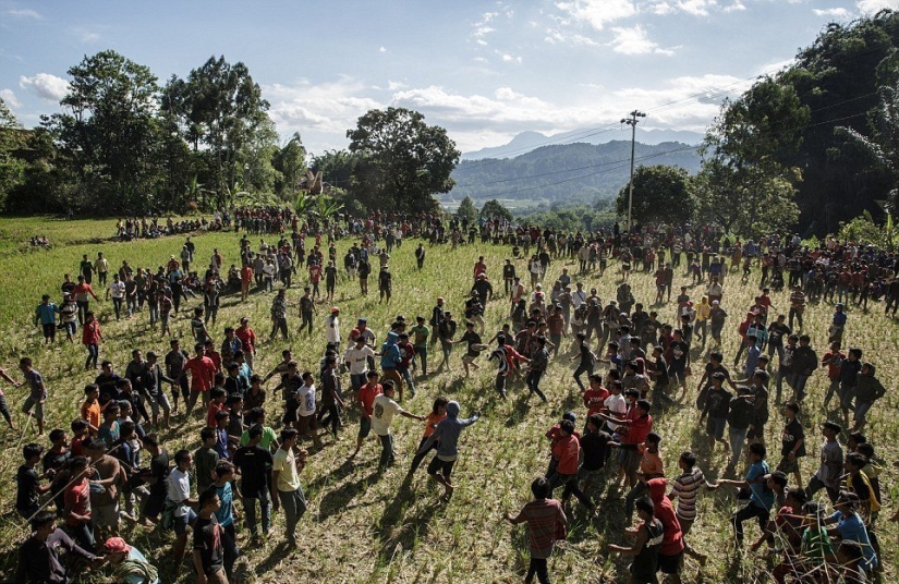Festival de Manene, durante el cual la gente de Toraja desentierra los cuerpos de sus familiares fallecidos Festival de Manene, durante el cual la gente de Toraja desentierra los cuerpos de sus familiares fallecidos