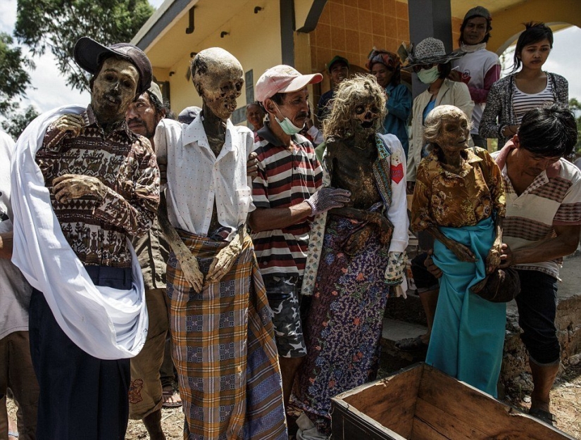 Festival de Manene, durante el cual la gente de Toraja desentierra los cuerpos de sus familiares fallecidos Festival de Manene, durante el cual la gente de Toraja desentierra los cuerpos de sus familiares fallecidos