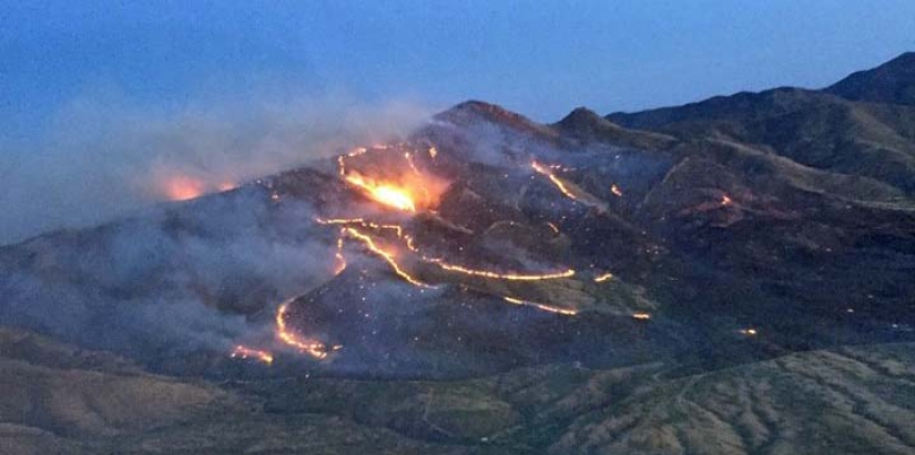 Fiesta de bomberos: un guardia fronterizo estadounidense quemó 18 mil hectáreas de bosque en honor a unas vacaciones familiares