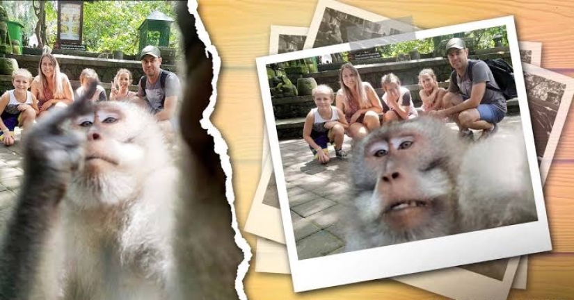 Figs to you, not selfies! A monkey in Bali made an epic shot with tourists herself