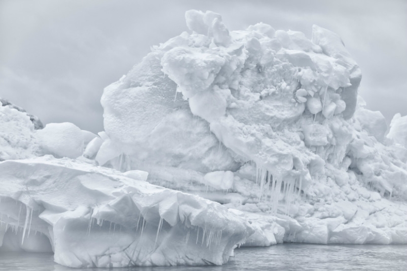 Finalistas de los Sony World Photography Awards: Las mejores fotos de 2018
