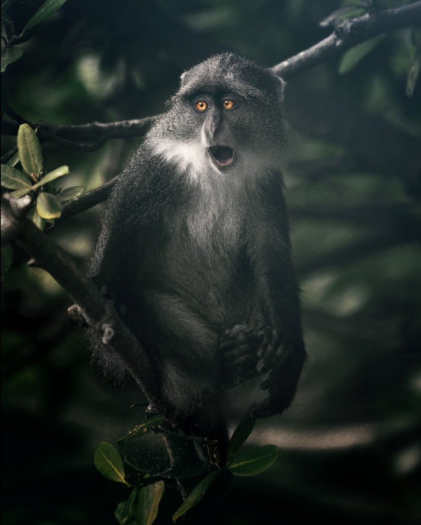 Finalistas de los Sony World Photography Awards: Las mejores fotos de 2018