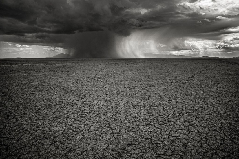 Finalists of the "Best Nature Photographer — 2017" contest from National Geographic