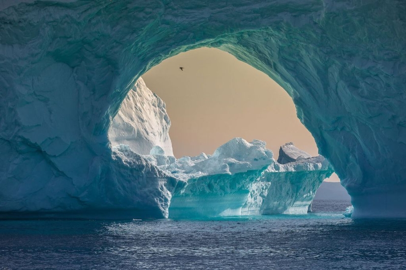 Finalists of the "Best Nature Photographer — 2017" contest from National Geographic